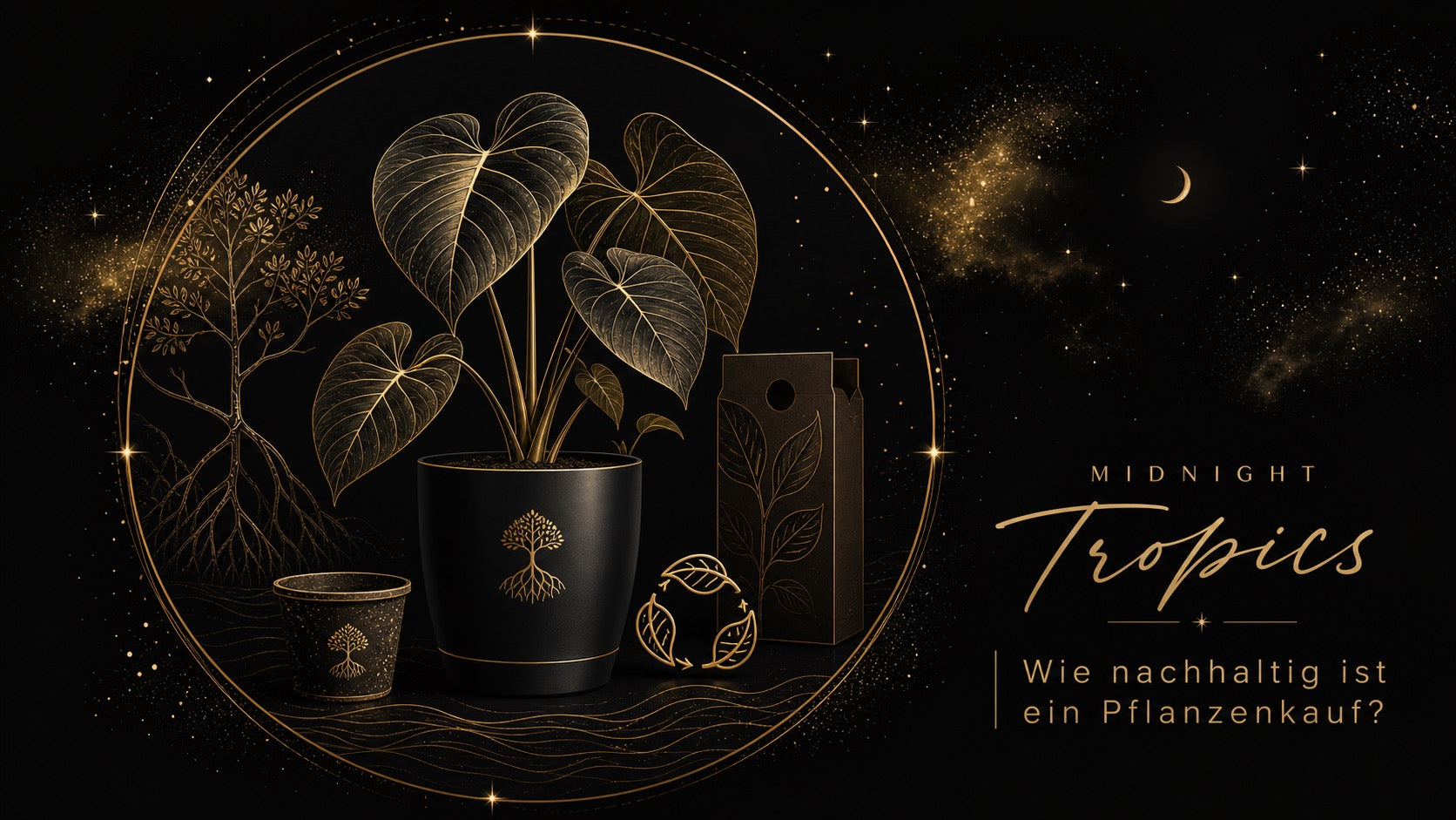 Wie nachhaltig ist ein Pflanzenkauf eigentlich?