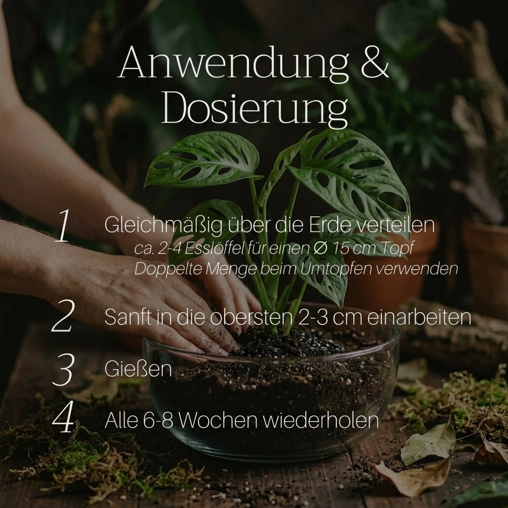 Basaltkraft | Pflanzen-Supplement 600g | Essenzielle
Minerale & Nährstoffe