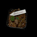 Anthurium (Zarax Rc) x Michelle