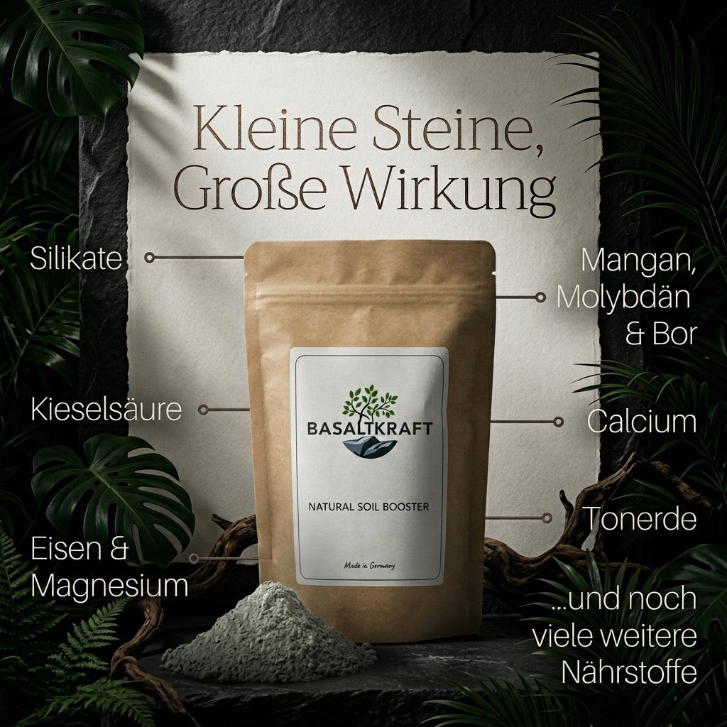 Basaltkraft | Pflanzen-Supplement 600g | Essenzielle
Minerale & Nährstoffe